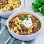 Beef Stroganoff Soup