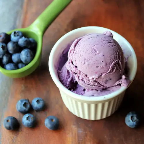 Homemade Blueberry Ice Cream